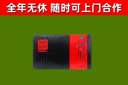 西岗区回收阿胶